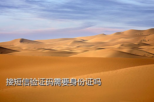 小米红米黑鲨手机接验证码