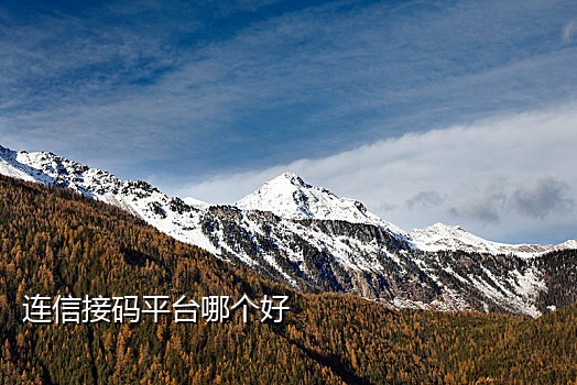 小白接码短信在哪里看
