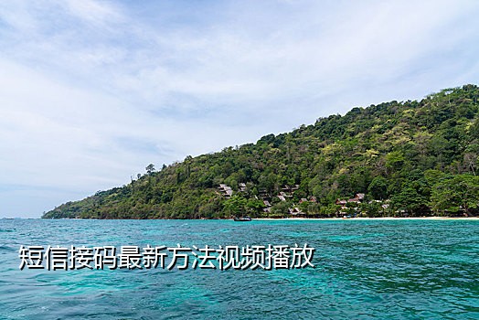 闲鱼接码短信平台是真的吗