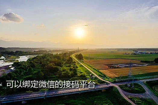 唯品会接码小爱