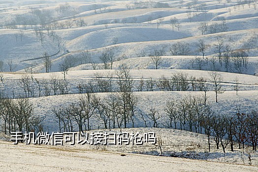 微信代代绑卡接码平台