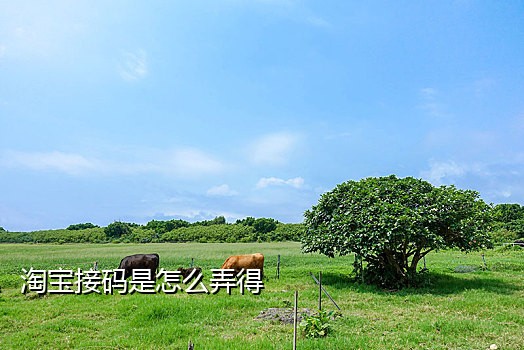 淘宝接码项目违法吗