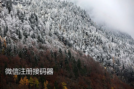 探探解封免费接码