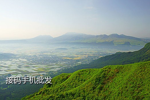 输入接码平台手机号