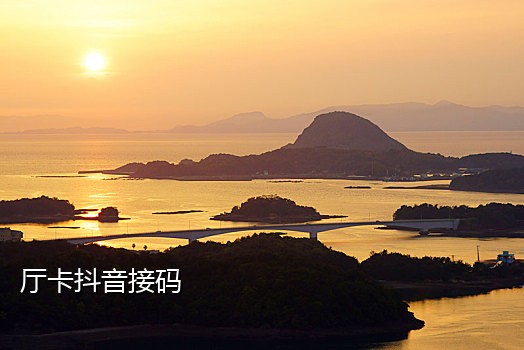 手机行接不到授权码