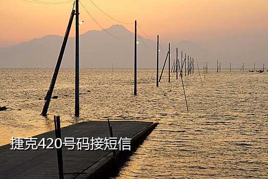 手机欠费游戏验证码怎么接