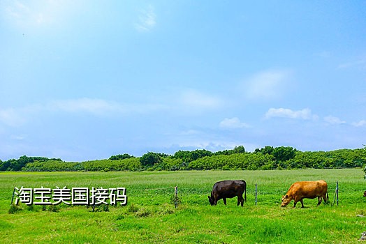 手机号接码赚钱平台下载