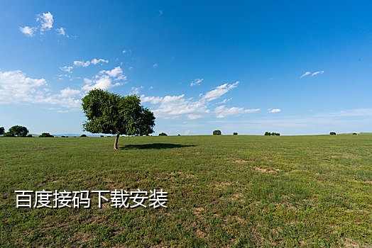 连信接不到验证码