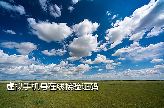 连信app手机接码平台