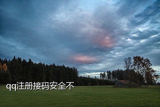 手机接码实卡平台