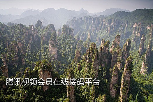 手机接刭很多验证码怎回事