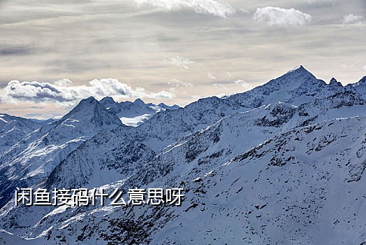 手机号接码业务