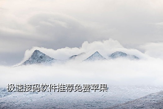 手机号接码软件有哪些