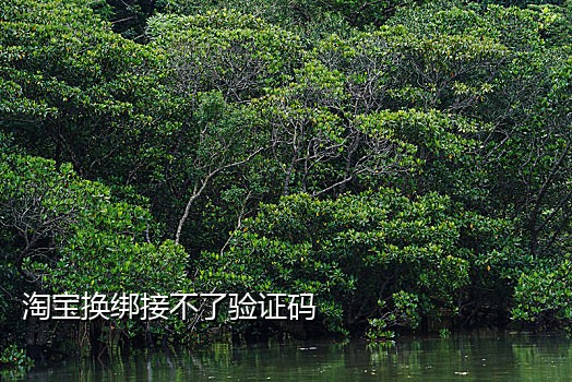 手机端的接码