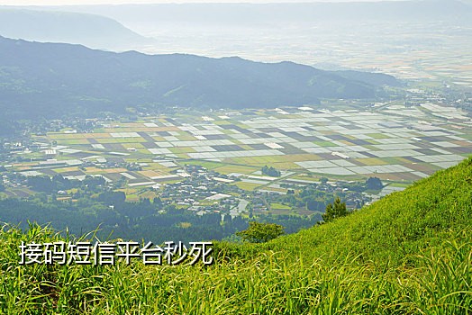 手机号接码验证码平台