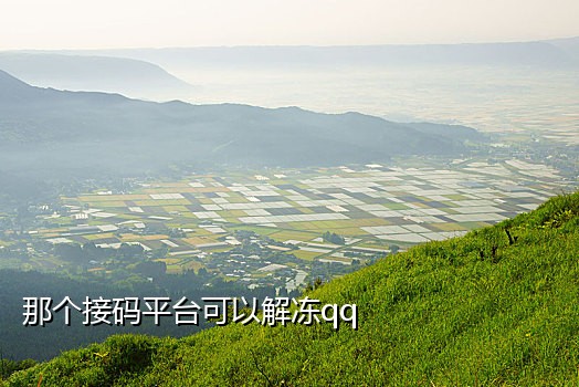 苹果短信接码软件