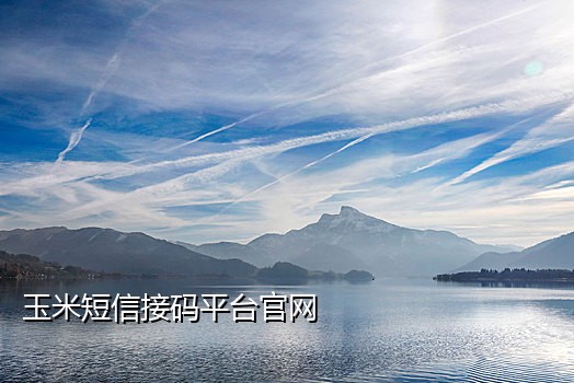 平台怎么检测接码手机号