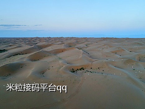能收短信的接码平台