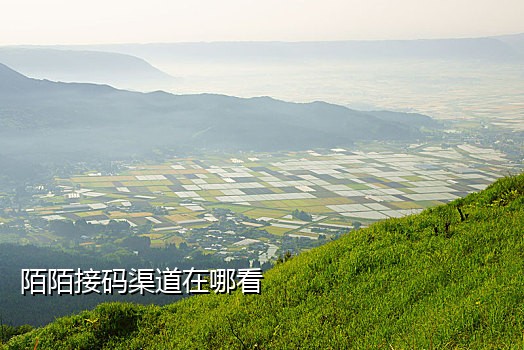 能发短信的接码软件有哪些