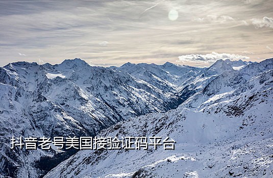 哪个平台可以接码抖音