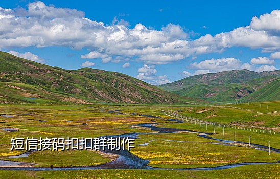 哪个接码平台能发送短信