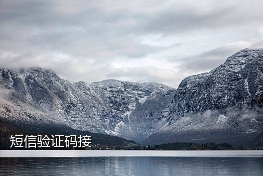 摩社云接码短信