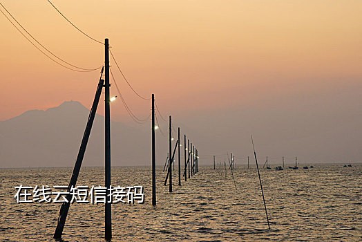 免费接码最多手机号