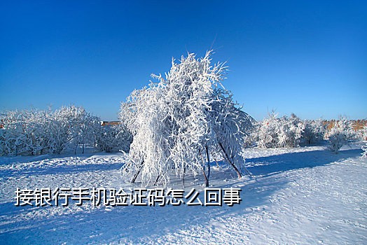 免费接码国外手机号