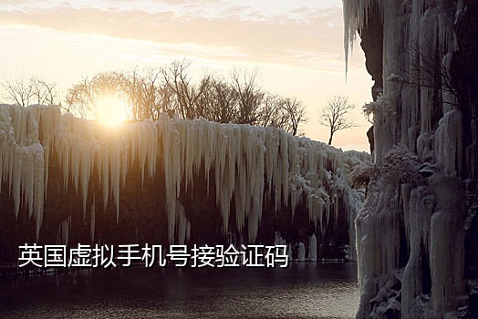 免费接短信在线验证码