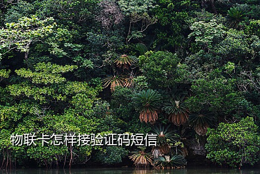 魅族手机接不到短信验证码