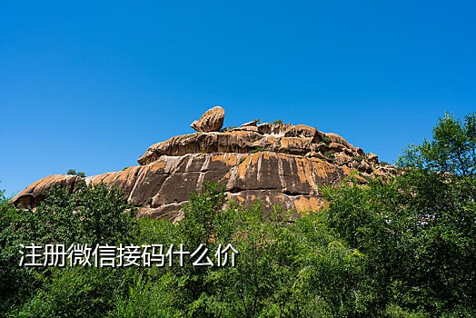 美团上的语音验证码可以接