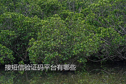 美团抹机接码