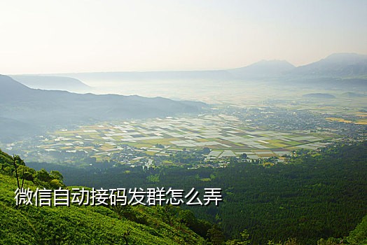 美团摩拜单车接码