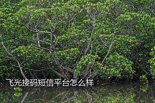 美国亚马逊接码器