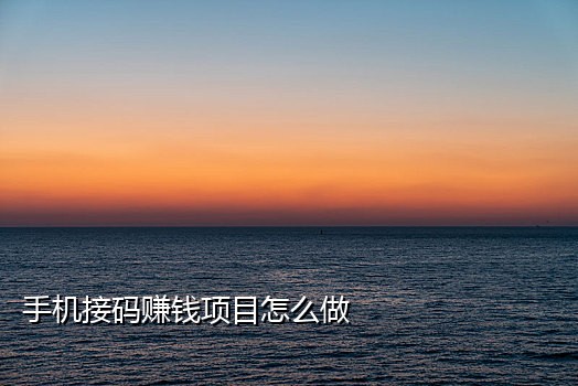 美国虚拟电话卡接验证码