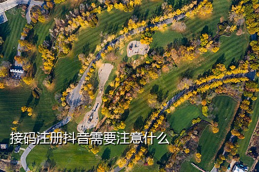 美国手机号注册接码