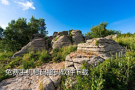 连信接码注册网址