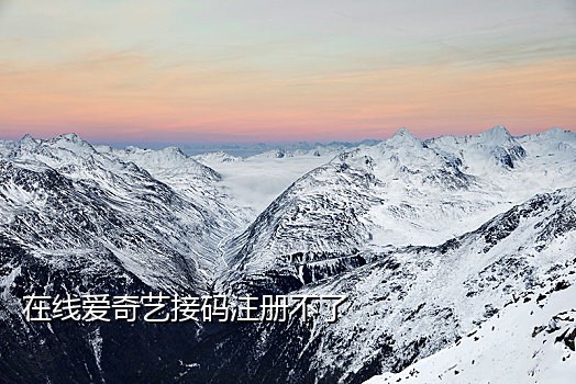 快手自助接码