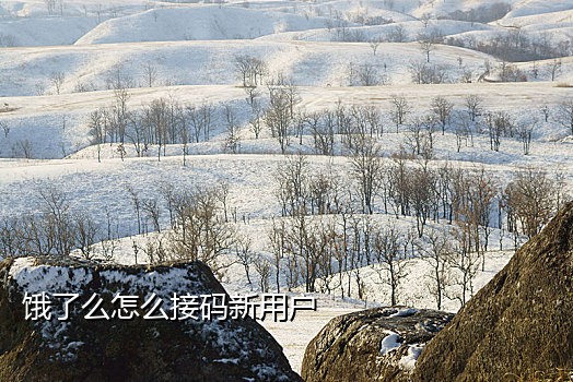 可注册微信的接码平台