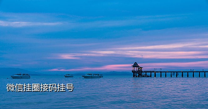 开放云短信接码平台