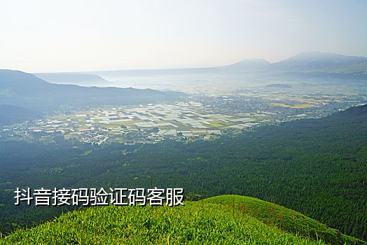 京东手机接码平台哪个好