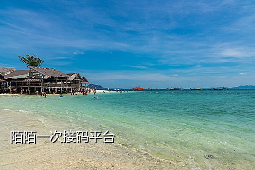 京东金条接不到短信验证码