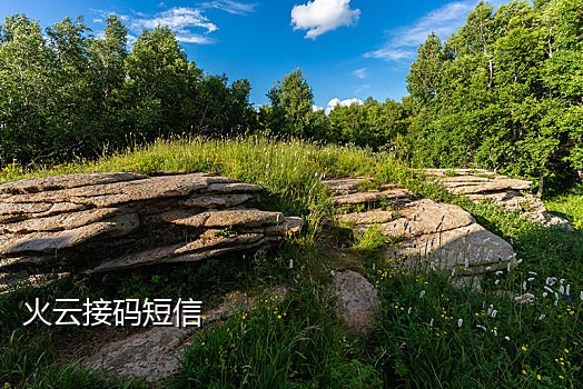 京东接码技术开发